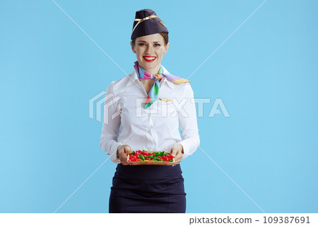 smiling stylish female flight attendant on blue smiling stylish female flight attendant on blue 109387691