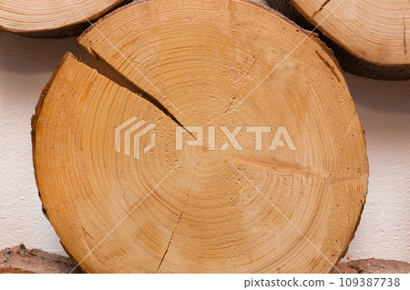 Cracked close-up round annual tree brown ring texture wood background material broken wooden damage Cracked close-up round annual tree brown ring texture wood background material broken wooden damage 109387738