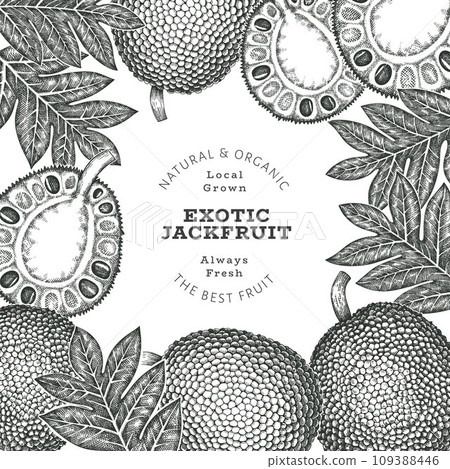 Hand drawn sketch style jackfruit banner. Organic fresh fruit vector illustration. Retro breadfruit design template 109388446