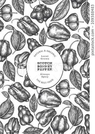 Hand drawn sketch style scotch bonnet pepper banner. Organic fresh vegetable vector illustration. Retro cayenne pepper design template 109388483