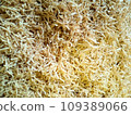 Sawdust 109389066