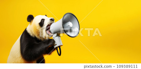 Panda with loudspeaker on yellow background Panda with loudspeaker on yellow background 109389111