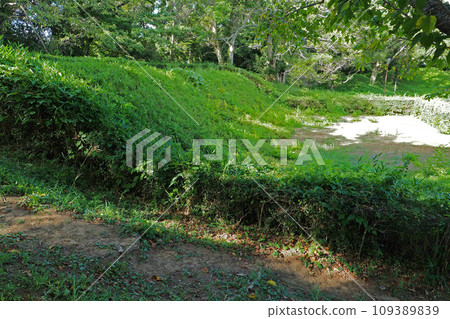 Castle tower ruins of the main enclosure of Sakura Castle Ruins Park [Sakura City, Chiba Prefecture] 109389839