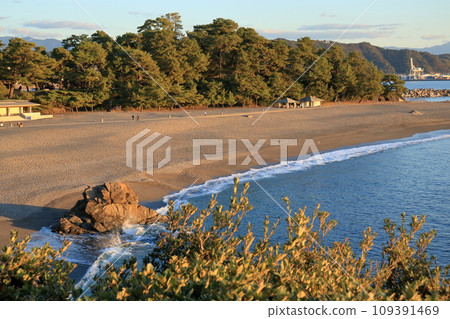 桂濱清晨風景（高知縣高知市） 109391469