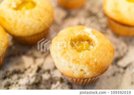 In the process of crafting delightful cactus cupcakes, the freshly baked vanilla and chocolate cupcakes are generously filled with tangy lemon and sweet raspberry filling, enhancing the flavors and 109392019