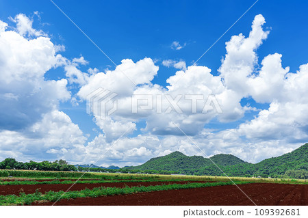 Landscape in Thailand Landscape in Thailand 109392681