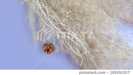 Christmas card (purple) 109392857