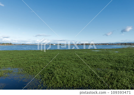 滋賀郡東近江市 - 伊巴內湖一直延伸至琵琶湖的風景 109393471