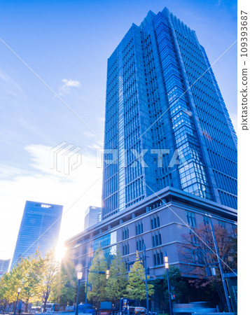（東京）丸之內行幸通沿線的建築物和銀杏樹 109393687