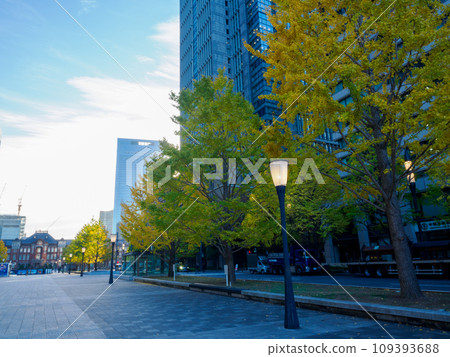 （東京）丸之內行幸通沿線的建築物和銀杏樹 109393688