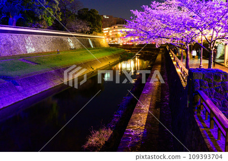 坪井河和櫻花樹,櫻花季,熊本城點燈場景(熊本市) 坪井河和櫻花樹,櫻花季,熊本城點燈場景(熊本市) 109393704