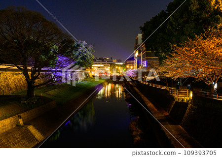 坪井河和櫻花樹，櫻花季，熊本城點燈場景（熊本市） 109393705