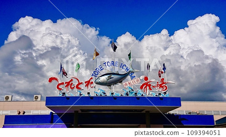 Nanki Shirahama Tore Tore Market Nanki Shirahama Tore Tore Market 109394051