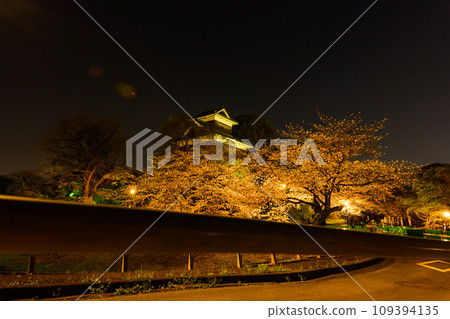 Cherry blossom season: Kumamoto Castle light-up (Kumamoto City) Cherry blossom season: Kumamoto Castle light-up (Kumamoto City) 109394135