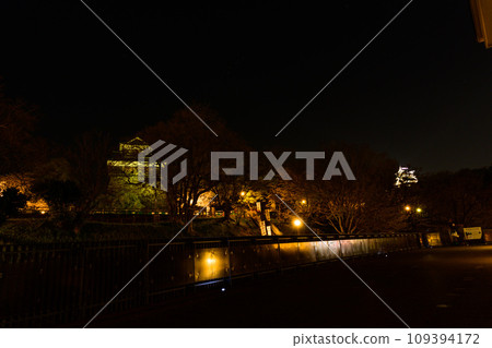 櫻花季:熊本城點燈(熊本市) 櫻花季:熊本城點燈(熊本市) 109394172