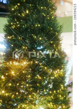 Christmas tree decorations in Tokyo 109394215