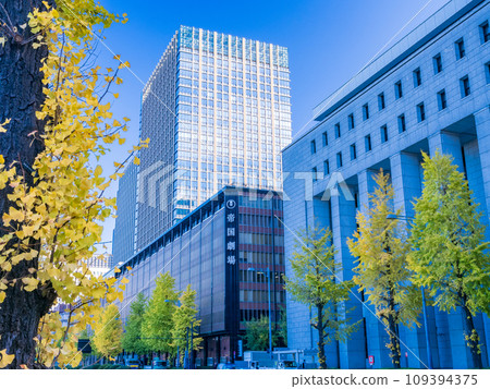 (Tokyo) Marunouchi/Hibiya moat lined with ginkgo trees (Tokyo) Marunouchi/Hibiya moat lined with ginkgo trees 109394375
