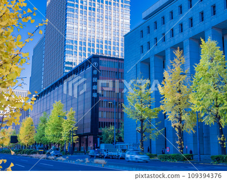 (Tokyo) Marunouchi/Hibiya moat lined with ginkgo trees (Tokyo) Marunouchi/Hibiya moat lined with ginkgo trees 109394376