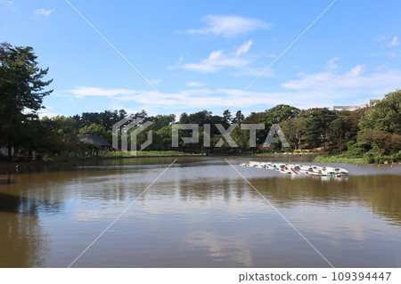 A relaxing garden for Chiba citizens Chiba Park/Watauchi Pond A relaxing garden for Chiba citizens Chiba Park/Watauchi Pond 109394447