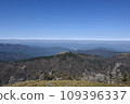 tropical frost 109396337