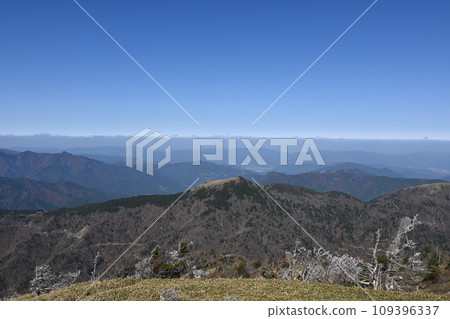 熱帶霜凍 109396337