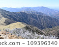 From Mt. Tsurugi to Mitsumine in early winter when frost-covered trees are dancing 109396340