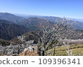 The tree ice of the summit 109396341