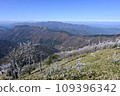 clear skies in early winter 109396342