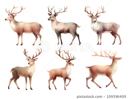 Reindeer watercolor illustration material set 109396409