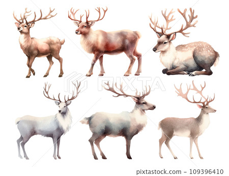 Reindeer watercolor illustration material set 109396410
