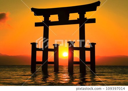 [Shiga Prefecture] Shirahige Shrine's large torii gate in the lake and the morning sun 109397014