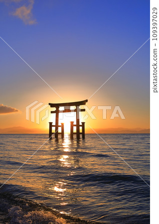 [Shiga Prefecture] Shirahige Shrine's large torii gate in the lake and the morning sun 109397029
