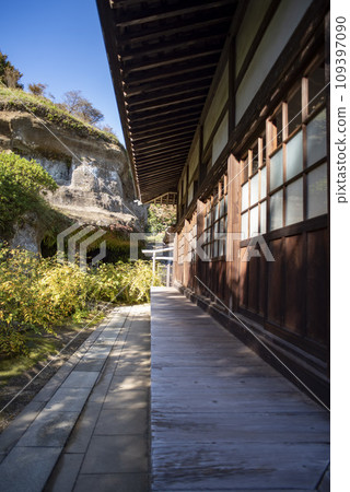 Kamakura November Kaizoji Temple 10 109397090
