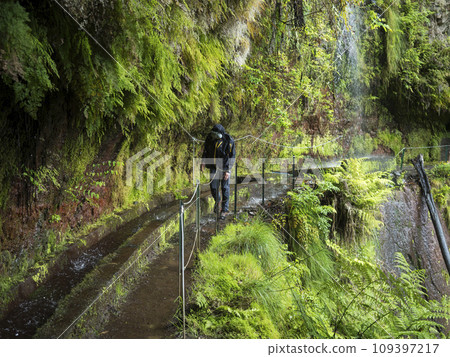 man hiker walking through waterfall at Levada Do Rei PR18 hike, water irrigation channel and tropical plants. Sao Jorge ending at the source in Ribeiro Bonito, Madeira, Portugal man hiker walking through waterfall at Levada Do Rei PR18 hike, water irrigation channel and tropical plants. Sao Jorge ending at the source in Ribeiro Bonito, Madeira, Portugal 109397217
