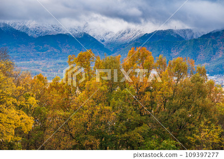Change of seasons [Ikeda Town, Kitaazumi District] 109397277