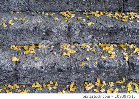Kamakura November Ankokuronji Temple 8 109397513