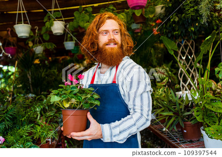 young redhaired ginger bearded man in apron working in the garden or plantation 109397544