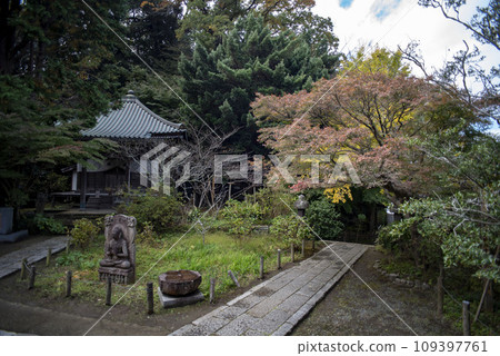 Kamakura November Ankokuronji Temple 17 Kamakura November Ankokuronji Temple 17 109397761