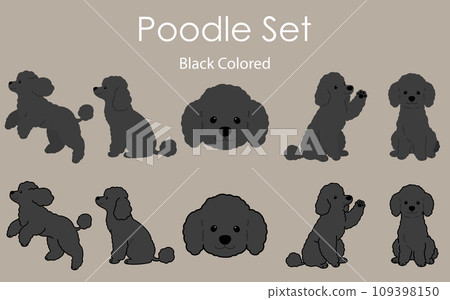 Simple and cute black poodle illustration set 109398150