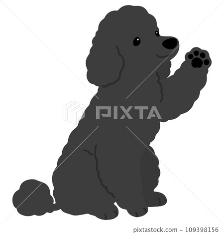 Illustration of a simple and cute black poodle waving while sitting, no main line 109398156