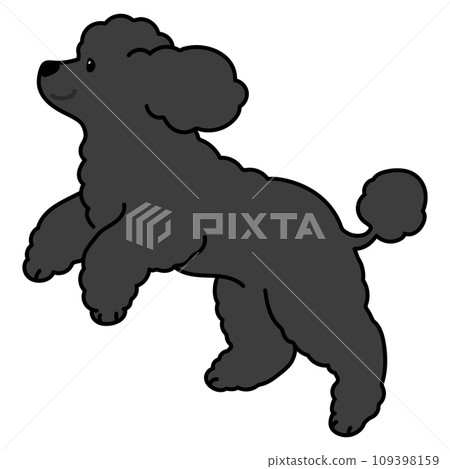 一隻簡單可愛的黑色貴賓犬用主線奔跑的插圖 一隻簡單可愛的黑色貴賓犬用主線奔跑的插圖 109398159