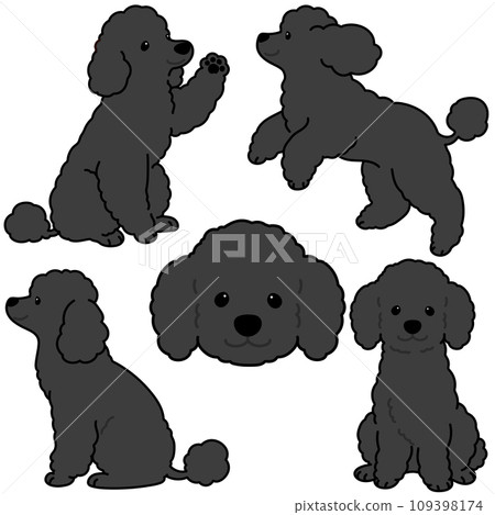 Simple and cute black poodle illustration set with main lines 109398174