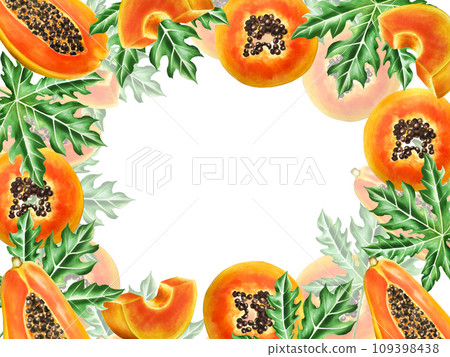 Marker frame and templates with sweet ripe slice of papaya with grains in watercolor style. Hand drawn realistic tasty organic illustration of exotic tropical fruit isolated on background. For Marker frame and templates with sweet ripe slice of papaya with grains in watercolor style. Hand drawn realistic tasty organic illustration of exotic tropical fruit isolated on background. For 109398438
