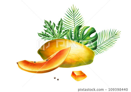 Marker sweet ripe composition with slice, half papaya and tropical leafs in watercolor style. Hand drawn realistic tasty marker illustration of exotic tropical fruit isolated on background. For Marker sweet ripe composition with slice, half papaya and tropical leafs in watercolor style. Hand drawn realistic tasty marker illustration of exotic tropical fruit isolated on background. For 109398440