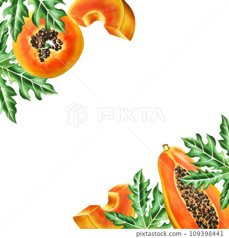 Marker frame and templates with sweet ripe slice of papaya with grains in watercolor style. Hand drawn realistic tasty organic illustration of exotic tropical fruit isolated on background. For Marker frame and templates with sweet ripe slice of papaya with grains in watercolor style. Hand drawn realistic tasty organic illustration of exotic tropical fruit isolated on background. For 109398441