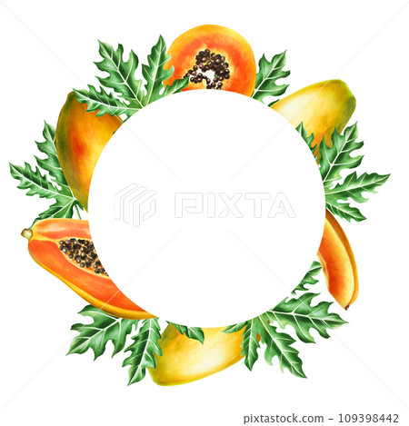 Marker frame, logo and templates with sweet ripe slice of papaya with grains in watercolor style. Hand drawn realistic tasty organic illustration of exotic tropical fruit isolated on background. For Marker frame, logo and templates with sweet ripe slice of papaya with grains in watercolor style. Hand drawn realistic tasty organic illustration of exotic tropical fruit isolated on background. For 109398442