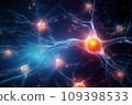 Close up of neurons, the work of the human brain 109398533