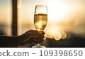Female hand holds one glass goblet with white wine. 109398650