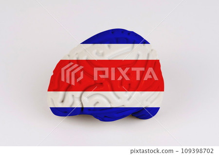 On a white background, a model of the brain with a picture of a flag - Costa Rica 109398702