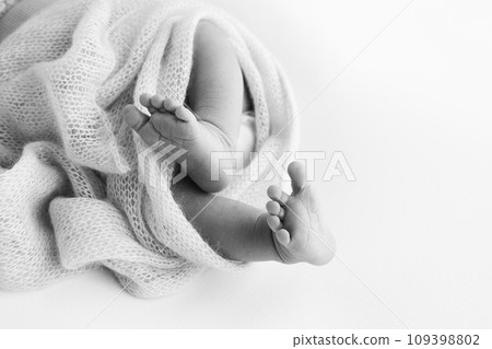 The tiny foot of a newborn baby. Soft feet of a new born in a wool blanket. Close up of toes, heels and feet of a newborn. Macro photography. Black and white The tiny foot of a newborn baby. Soft feet of a new born in a wool blanket. Close up of toes, heels and feet of a newborn. Macro photography. Black and white 109398802
